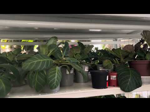 Видео: Терять родных больно🥲, бороться нужно! Всех крепко обнимаю 🤝❤️😘 Мой телеграмм в первом комментарии 🤗