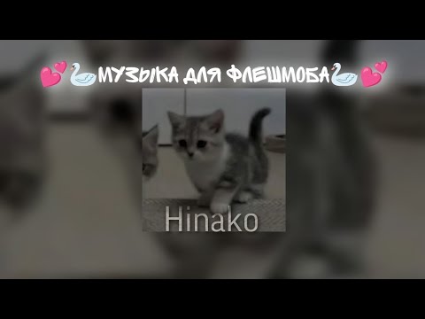 Видео: 💕🦢Музыка для флешмоба🦢💕