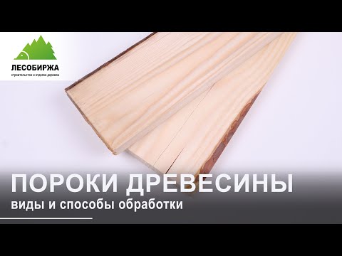 Видео: Пороки древесины: виды и особенности