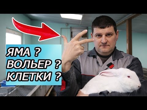 Видео: КАК СОДЕРЖАТЬ КРОЛИКОВ? 3 МЕТОДА НА ВЫБОР!!