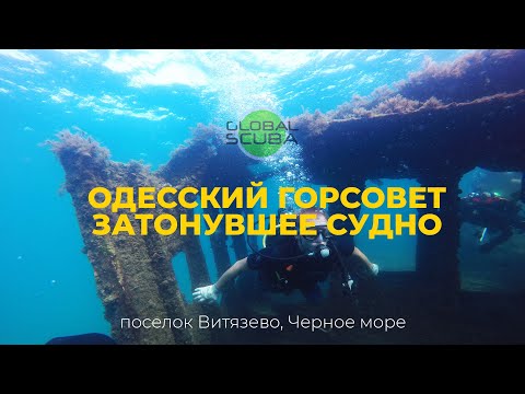 Видео: Дайвинг в Анапе | затонувший корабль Горсовет | обитатели Черного моря