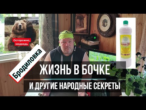 Видео: Бродиловка. Народная мудрость в действии.
