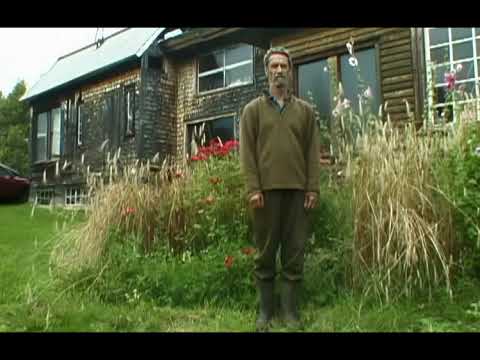 Видео: Маленький танец. Стив Пэкстон