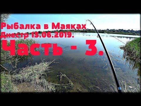 Видео: Рыбалка в Маяках, Днестр  16.06.2019.  Часть  - 3.
