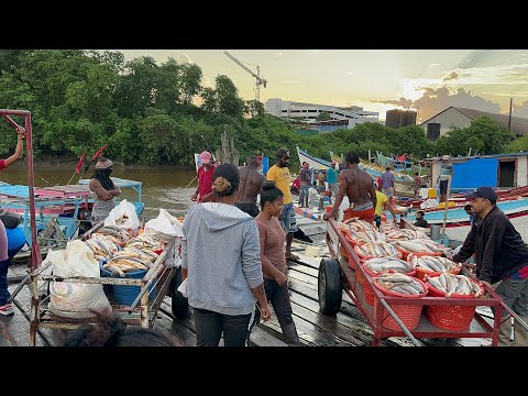 Видео: КРУПНЕЙШИЙ РЫБНЫЙ РЫНОК ГАЙАНЫ