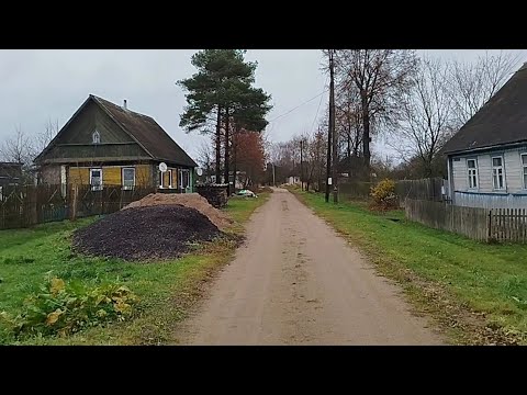 Видео: Уй 40 соток, ЛПХ, шахарга 5км  мактаб, магазин, автобус, Иш ўринлари