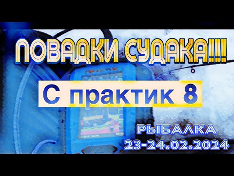 Видео: НАШЛИ СТАЮ СУДАКА ИЗ ПОД КОРЯГ и ЛОВИМ С ЭХОЛОТОМ ПРАКТИК 8 на TsuYoki VIKA 75s. 23-24.02. 2024.