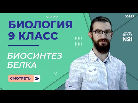Видео: Биосинтез белка. Видеоурок 13. Биология 9 класс