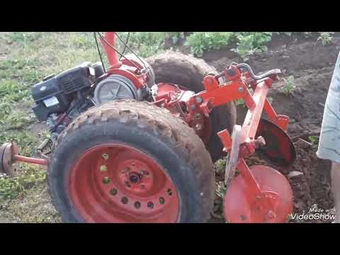 Видео: Окучили картофель.