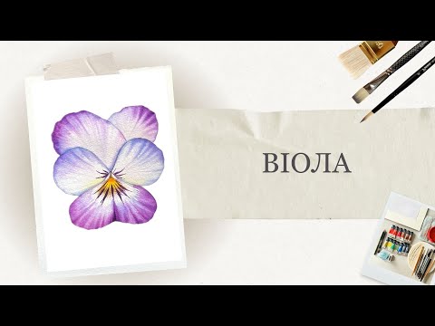 Видео: Ботанічна ілюстрація аквареллю | Як намалювати квіти | Детальні уроки малювання