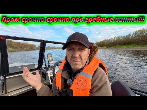 Видео: Осторожно, гребные винты! Обманчивые ссылки на маркетплейсах!