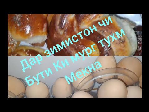 Видео: дар зимистон чи куни мург тухм мекунад булучкаи бомаза 😋