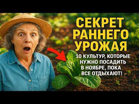 Видео: СЕКРЕТ РАННЕГО УРОЖАЯ: 10 культур, которые нужно посадить в ноябре, пока все отдыхают!