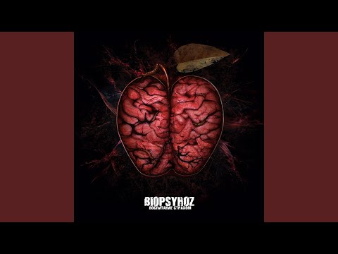 Видео: Брызгами жизни