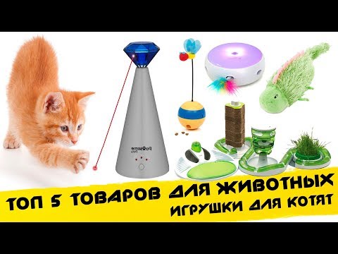 Видео: ✔ Топ 5 ИГРУШКИ ДЛЯ КОТОВ, КОШЕК И КОТЯТ / ТОВАРЫ ДЛЯ ЖИВОТНЫХ