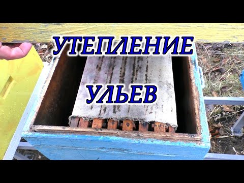 Видео: Утепление ульев зимой. Подушка, холстик, пленка.