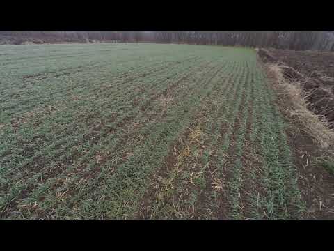 Видео: Шануй Батька та Матір.