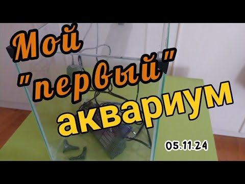 Видео: Возвращение в аквариумистику #мойпервыйаквариум #aquariumhobby #aquarium #аквариумистика