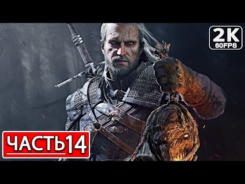 Видео: THE WITCHER 3: WILD HUNT Полное Прохождение Часть 14 ВЕДЬМАК 3 ДИКАЯ ОХОТА #shorts