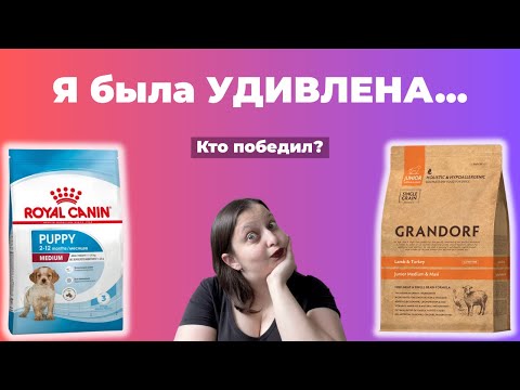 Видео: Грандорф против Royal Canin: я правда не ожидала такого сравнения!