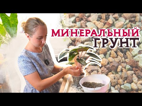 Видео: Минеральный грунт | Для каких растений подойдёт, посадка и пересадка, уход, борьба с вредителями