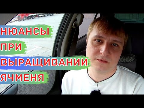 Видео: Выращивание ячменя. Пивоваренный и фуражный ячмень.