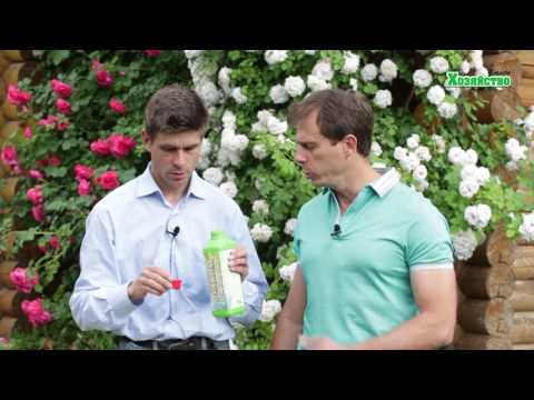 Видео: Супер способ увеличения урожая помидор и огурцов - подкормка Бором