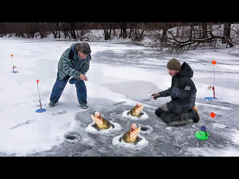 Видео: ЖЕРЛИЦЫ в БРАКОНЬЕРСКИХ ЯМАХ... ЩУКА ВЫПРЫГИВАЛА с ЛУНКИ!!! РЫБАЛКА на ЖЕРЛИЦЫ 2024