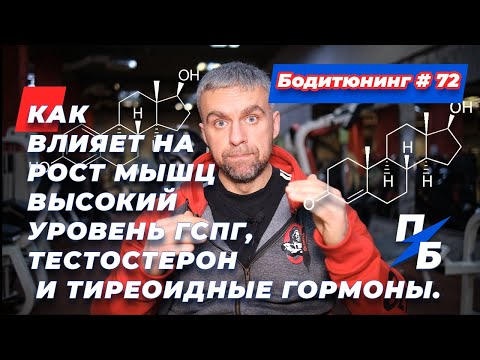 Видео: Как влияет на рост мышц высокий уровень ГСПГ, тестостерон и тиреоидные гормоны