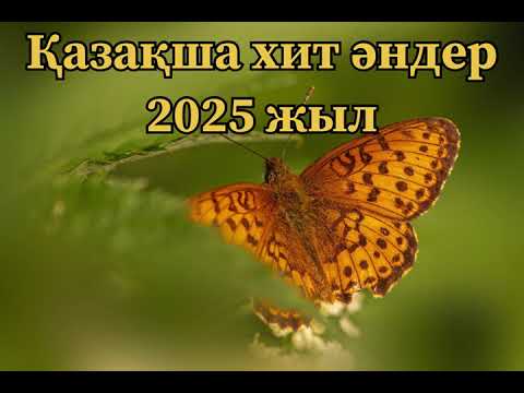 Видео: Қазақша хит әндер 2025жыл