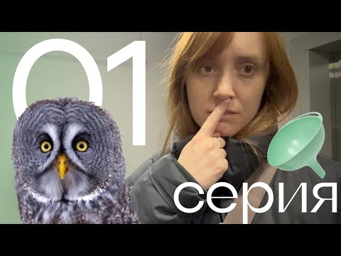 Видео: 1. Сова, воронка, заимка, жизнь в Екатеринбурге, катание на бубликах и снегоходе