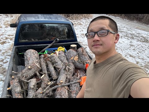 Видео: Охота ранним утром на Аляске
