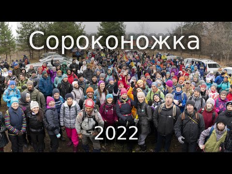 Видео: Сороконожка 2022