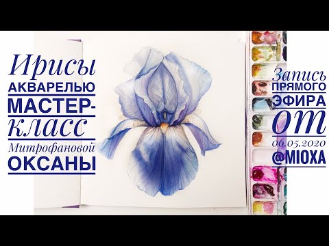 Видео: Ирисы. Мастер-класс по акварели от Митрофановой Оксаны. Запись эфира от 06.05.2020