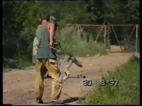 Видео: Туловская авг сент окт  1997 Биробиджанский пограничный отряд.