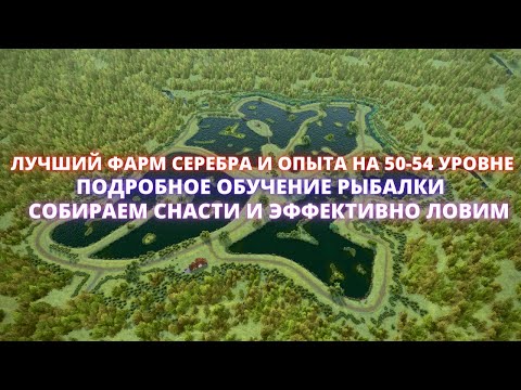 Видео: Fishing Planet | ЛУЧШИЙ ФАРМ НА 50-54 УРОВНЕ ! ЛОВЛЯ КАРПОВ НА ВИППИНГ-ВИЛЛОУ! ПРАВИЛЬНАЯ РЫБАЛКА