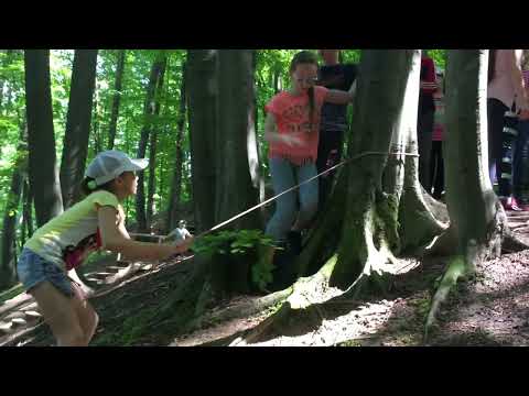 Видео: Пушкинские места Молдавии. Кодры.