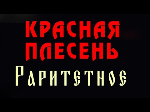 Видео: Красная Плесень - Раритетное (Альбом 2012)