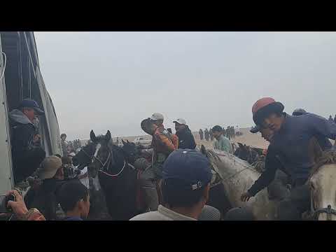 Видео: 26 октября 2025 г.