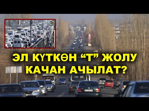 Видео: ОШ: ШААР ИЧИНДЕ УНАА ТЫГЫНЫ КӨБӨЙДҮ