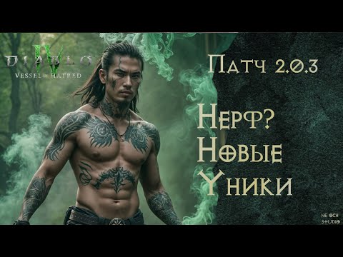 Видео: Обзор Патча 2.0.3 Нерф Спиритборна!?  — Diablo 4 Vessel Of Hatred Сезон 6