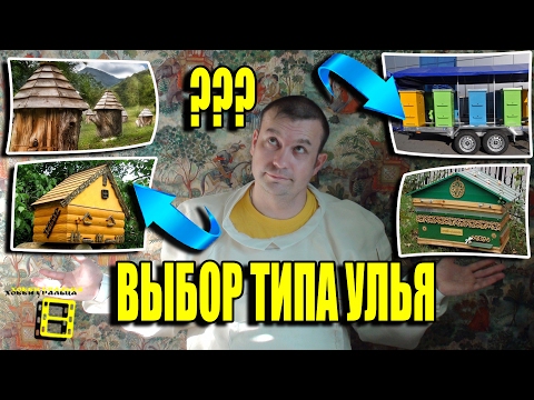 Видео: КАКОЙ УЛЕЙ ЛУЧШЕ? ВЫБОР ТИПА УЛЬЯ. НАЧИНАЮЩЕМУ ПЧЕЛОВОДУ. ЛЮБИТЕЛЬСКОЕ ПЧЕЛОВОДСТВО С "0"