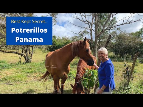 Видео: Самый охраняемый секрет Панамы — Potrerillos