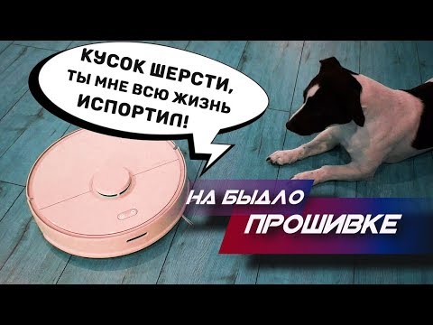 Видео: Говорящий БЫДЛО-ПЫЛЕСОС перешёл грань🤖 СКАЙНЕТ близко