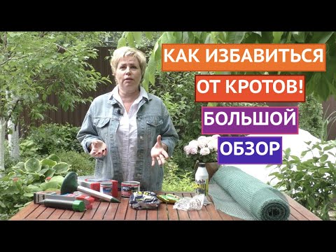 Видео: НАДОЕЛИ КРОТЫ НА УЧАСТКЕ? РАССКАЖУ КАК ОТ НИХ ИЗБАВИТЬСЯ!