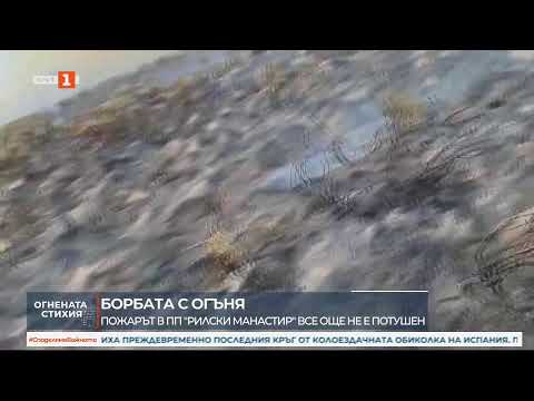 Видео: "По света и у нас" на 15.09.2025 от 12.00 ч.