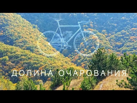 Видео: Выкатной. #Долина Очарования.