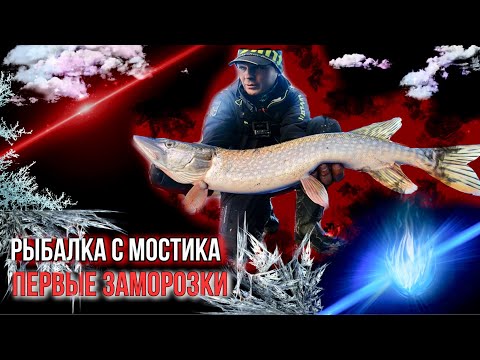 Видео: ПЕРВЫЕ ЗАМОРОЗКИ. ЩУКИ НА СПИННИНГ. РЫБАЛКА С МОСТИКА.