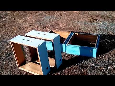Видео: Как быстро увеличить пасеку (Ссылка на рассказ  автора  в конце ролика   )