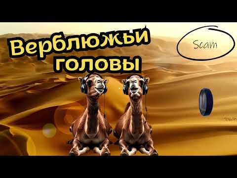 Видео: Верблюжьи головы.Телефонные аферисты